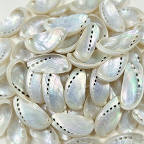 Sinkoo 30 Pcs Pearlized Abalone Seashell, 1.6"-2.5", White Pearl Donkey Ear Abalone Shells for DIY Crafts, Arts and Home Decor
