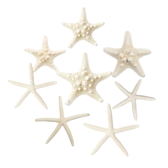Sinkoo 8PCS Starfish 1-4 Inch Mixed Starfish Natural Seashells Starfish Star Fish Shells Decorations Perfect for Wedding Decor Beach Theme Party, Home Decorations, DIY Crafts, Fish Tank