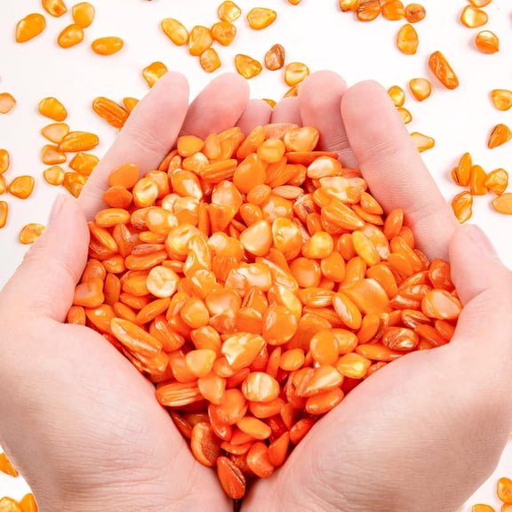 Sinkoo Crushed Shells for Crafts About 0.66LB (300g/11.64oz) Small Natural Crushed Shells Bulk for Crafts DIY Beaching Wedding Decoration Vase Fillers (Orange)