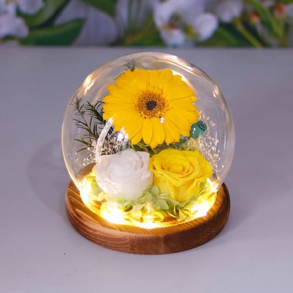 Sinkoo Gifts for Mom Women Birthday Preserved Sunflower in Glass Dome Forever Fresh Flowers for Delivery Prime Long-Lasting Eternal Flowers Gifts for Grandma Sister Daughter Wife Her Girlfriend
