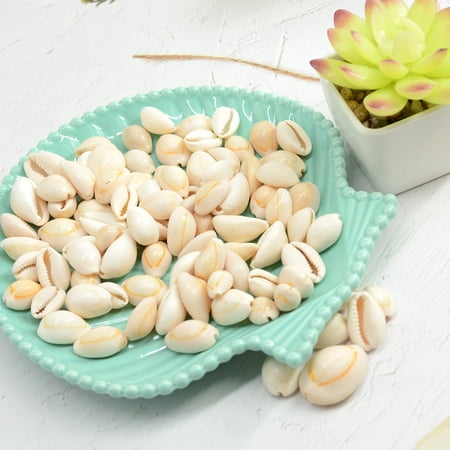 Sinkoo Money Cowrie Shells Sea Shells for Crafts, 100pcs 0.85inch Natural Small Seashells Cowrie Shells for DIY Craft, Jewelry & Bracelet Making, Vase Filler, Crafts Shell Supply