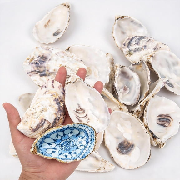 Sinkoo Oyster Shells for Crafts, 10Pcs 4-5in Concave Oyster Shells, for Beach Theme Decor, Vase Filler, DIY Crafts Supply