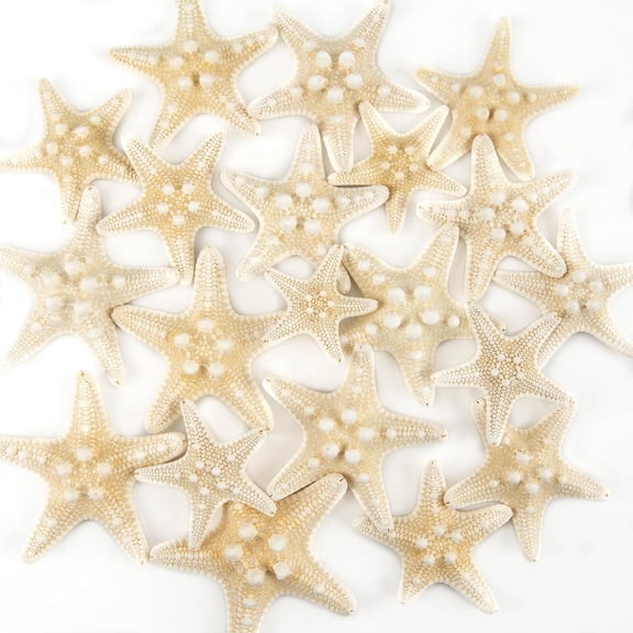 Sinkoo Small Starfish for Crafting 12 pcs, 1" to 2" Natural Starfish Seashells Starfish Decor Perfect for Wedding Decor Beach Theme Party, Home Decorations, DIY Crafts, Fish Tank