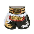 thumbnail image 1 of Sinleey Kids Boy Muay Thai Boxing Shorts Boxing Trunks Fight Training Shorts Grappling Martial Arts White&Black S/140, 1 of 2