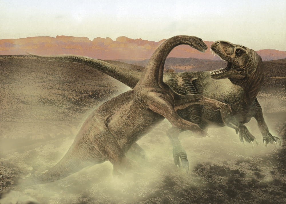 Sinraptor fighting a juvenile Bellusaurus Canvas Art - Jan SovakStocktrek Images (33 x 24)