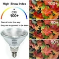 thumbnail image 1 of Sinvic PAR38 Flood Light，4 Pack PAR38 Halogen Flood Light Dimmable 150W 120V， High Brightness 2400LM, PAR38 Bulb with E26 Base,2800K Warm White Ideal for Indoor/Outdoor, 1 of 7