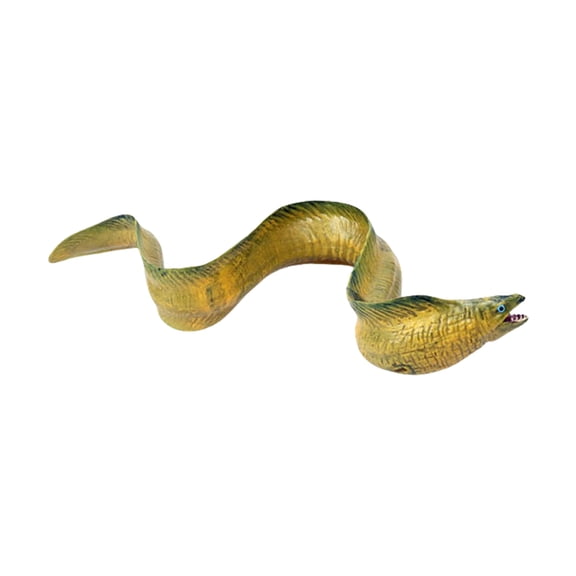 Sinyiin Creature Marine Fish Figure Realistic Design Eel Model Figurine for Classroom Biology Learning and Education Display
