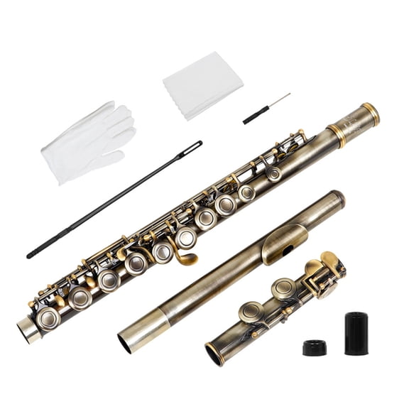 Sinyiin Ergonomic 16 Hole Flute in Green Bronze for Home Practice and Performances