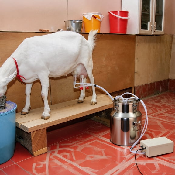 Sioweci Automatic Pulsating Goat Milking Machine Stainless Steel Bucket Food-Grade Silicone Cups Portable Adjustable Suction Milker (5L)