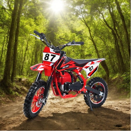 Sioweci Kids Gas Powered Dirt Bike, 49CC 4-Stroke Gas Kids Dirt Bike, Pull Start Engine, Inverted Front Suspension, Rear Shock Absorber, Kill Switch, Disc Brakes