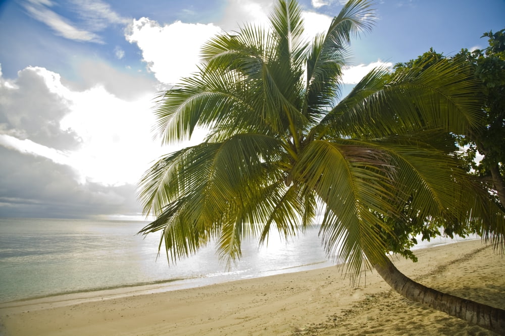 Sipadan Island Sabah Malaysian Borneo Malaysia Southeast Asia Canvas Art - Stuart Westmorland  Design Pics (36 x 22)