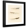 thumbnail image 1 of Sir Andrew Smith 12x14 Black Modern Framed Museum Art Print Titled - Eremias Annulifera, Eremias Fulchra, Eremias Formosa (1838-1849), 1 of 1