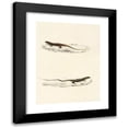 thumbnail image 1 of Sir Andrew Smith 12x14 Black Modern Framed Museum Art Print Titled - Eremias Burchelii, Eremias Capensis (1838-1849), 1 of 1
