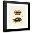 thumbnail image 1 of Sir Andrew Smith 15x18 Black Modern Framed Museum Art Print Titled - Tortoise Verroxii (1838-1849), 1 of 5