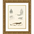 thumbnail image 1 of Sir Andrew Smith 19x24 Gold Ornate Framed and Double Matted Museum Art Print Titled - Cordylus Giganteus (Young) (1838-1849), 1 of 4
