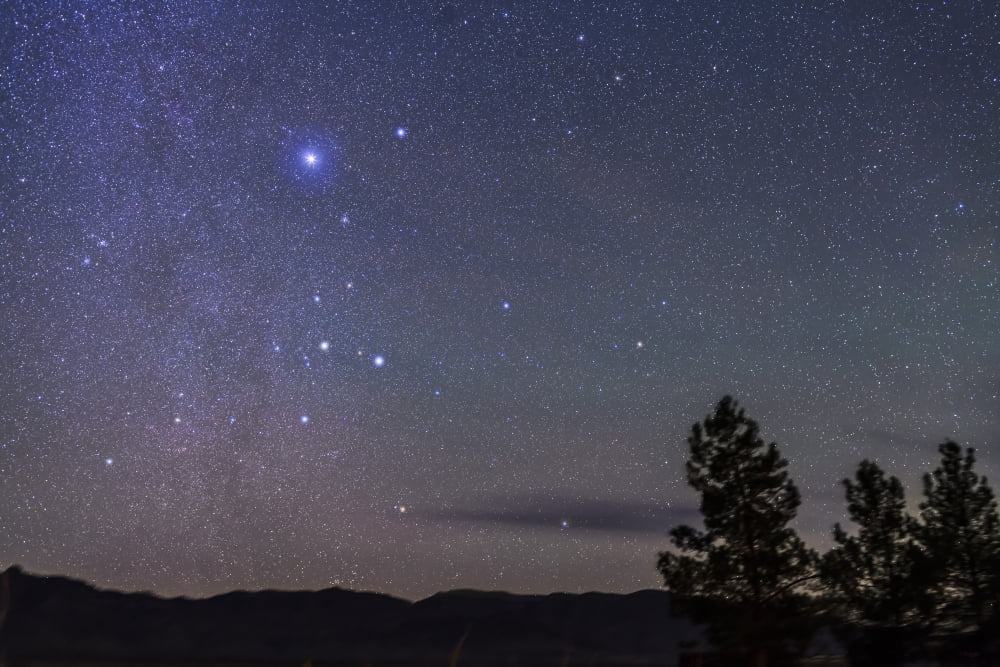 Sirius & Canis Major rising in New Mexico Canvas Art - Alan DyerStocktrek Images (17 x 12)