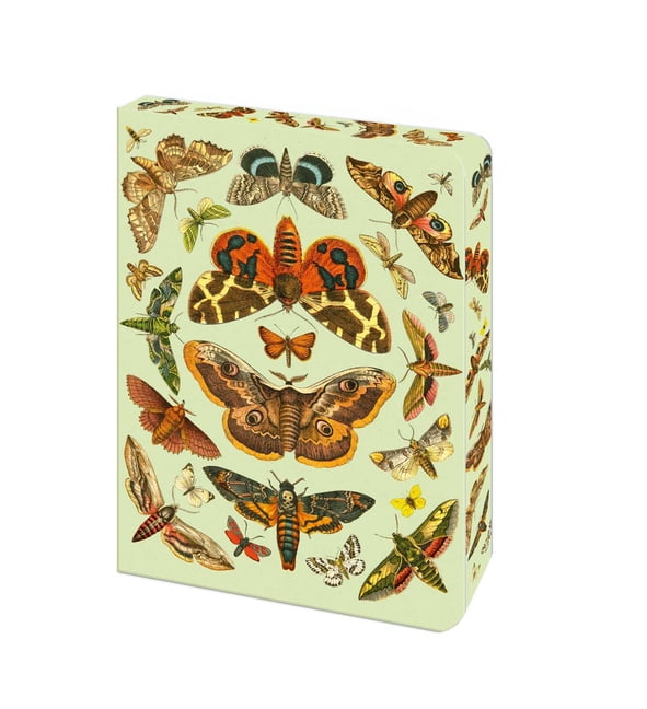 Bermondsey Soft-Touch Journals The Moth Journal: Blank Lined Notebook, (Paperback)
