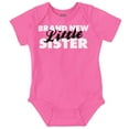 thumbnail image 1 of Sis Announcement Little Sister Bodysuit Jumper Girls Infant Baby Brisco Brands 24M, 1 of 6