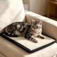 thumbnail image 1 of Waxgamo 2-Pack Cat Scratching Mat, Natural Sisal Cat Scratch Pad, 11.8"x15.8" Furniture Protector for Sofa & Carpet, Reversible Cat Scratcher Mat with Velcro and Twist Nails, 1 of 9