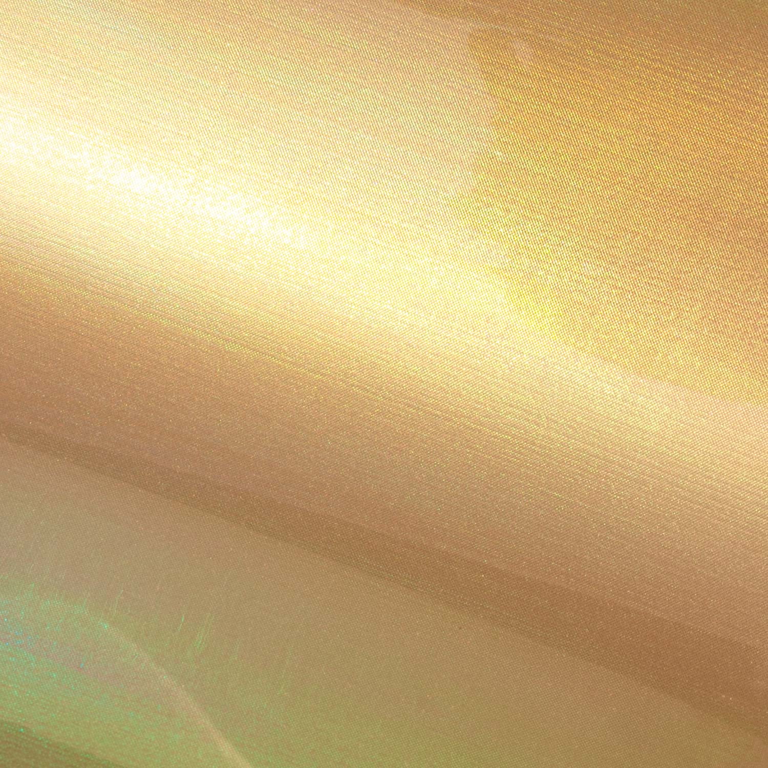 Siser Aurora HTV Iron on Heat Transfer Vinyl 12" x 15' Roll - Goldfish