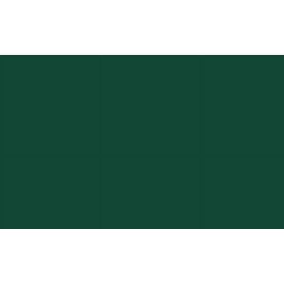 Siser EasyPSVâ„¢ Permanent Self Adhesive Permanent Craft Vinyl 12" x 12" 25 PreCut Sheets - Turtle Green