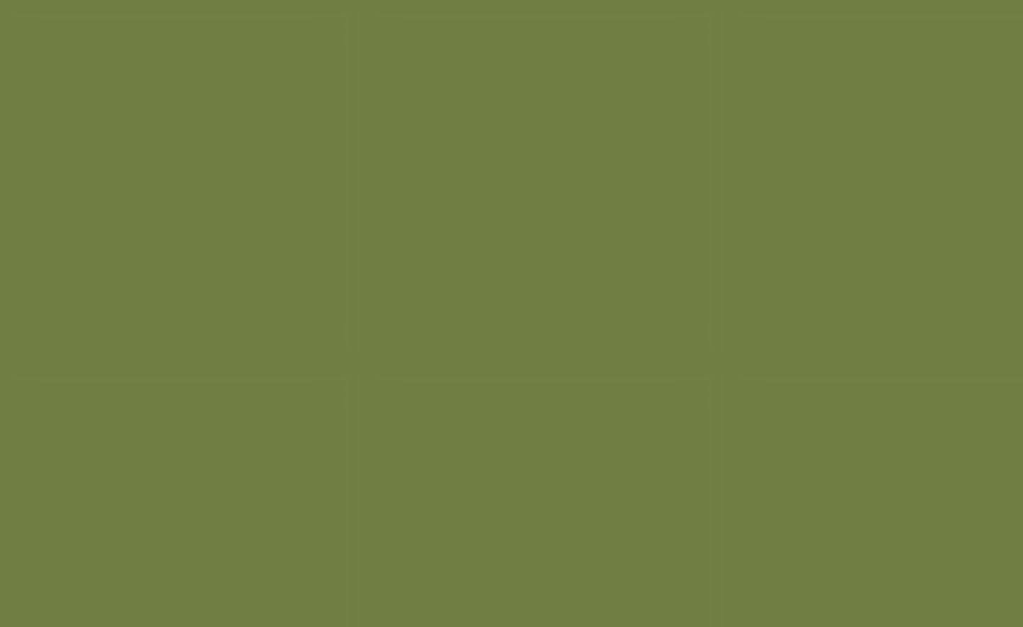 Siser EasyPSV™ Permanent Self Adhesive Permanent Craft Vinyl 12" x 25ft Roll - Alligator Green