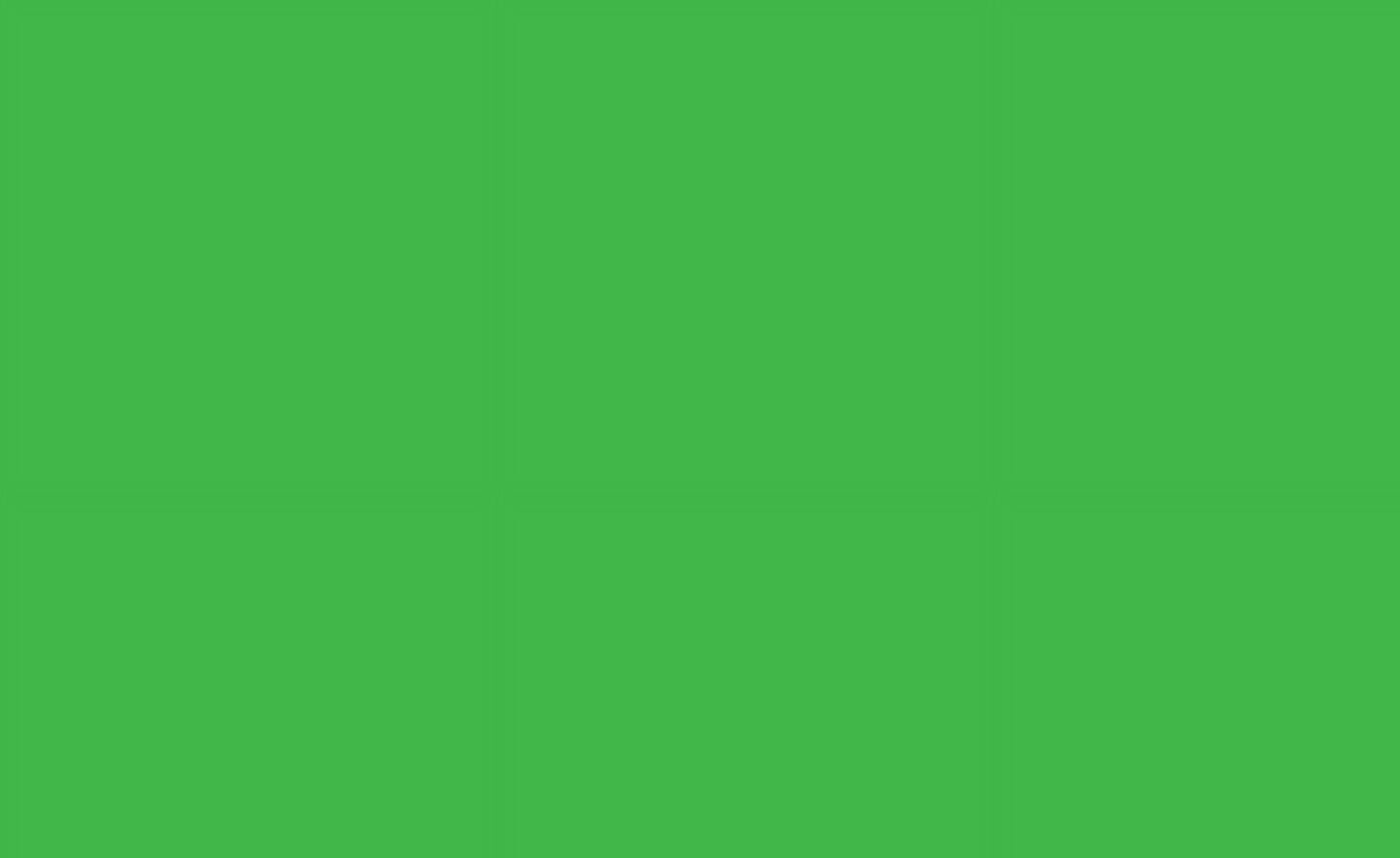 Siser EasyPSV™ Permanent Self Adhesive Permanent Craft Vinyl 12" x 30ft (10 Yards) Roll - Bright Green