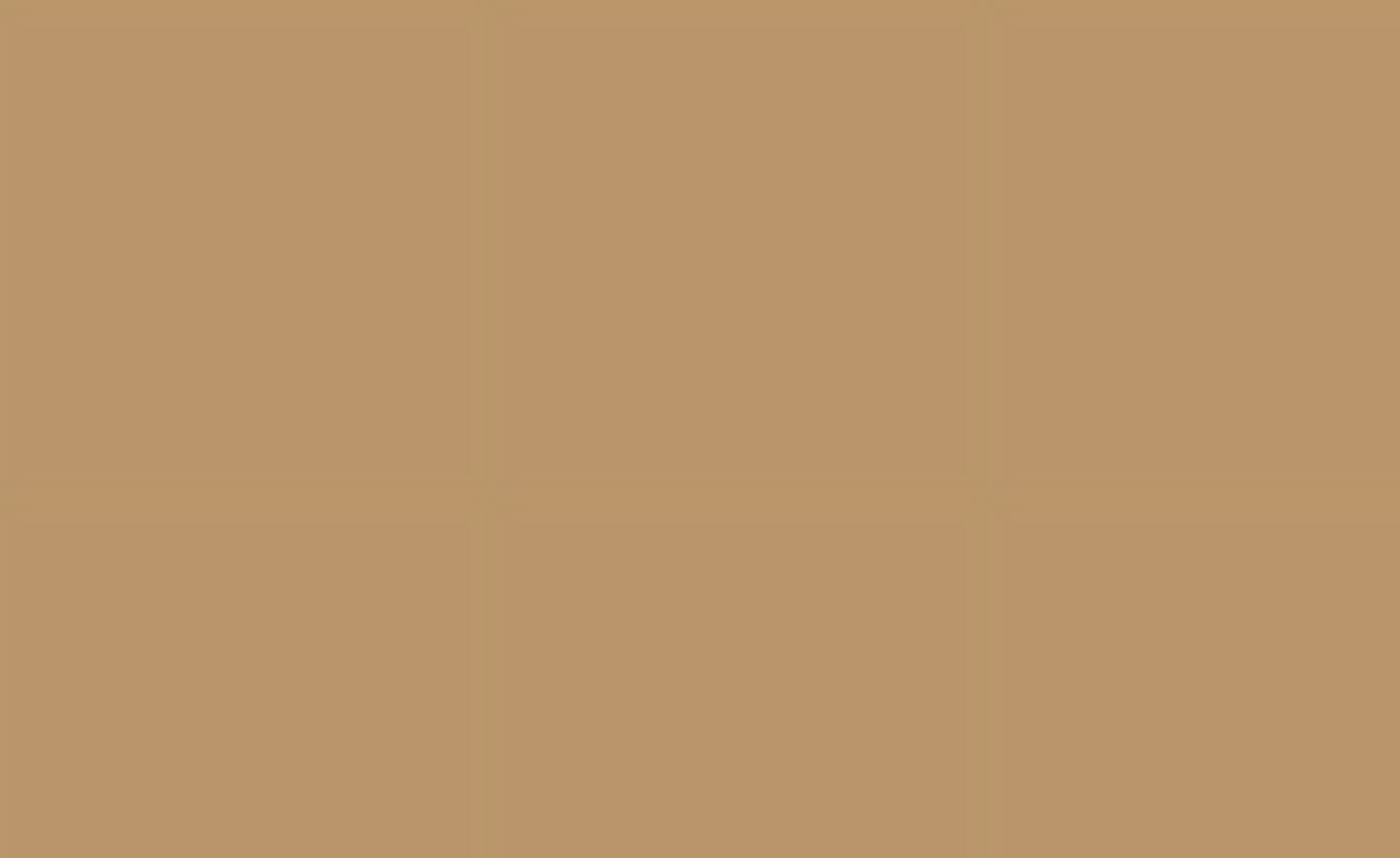 Siser EasyPSV™ Permanent Self Adhesive Permanent Craft Vinyl 12" x 30ft (10 Yards) Roll - Camel