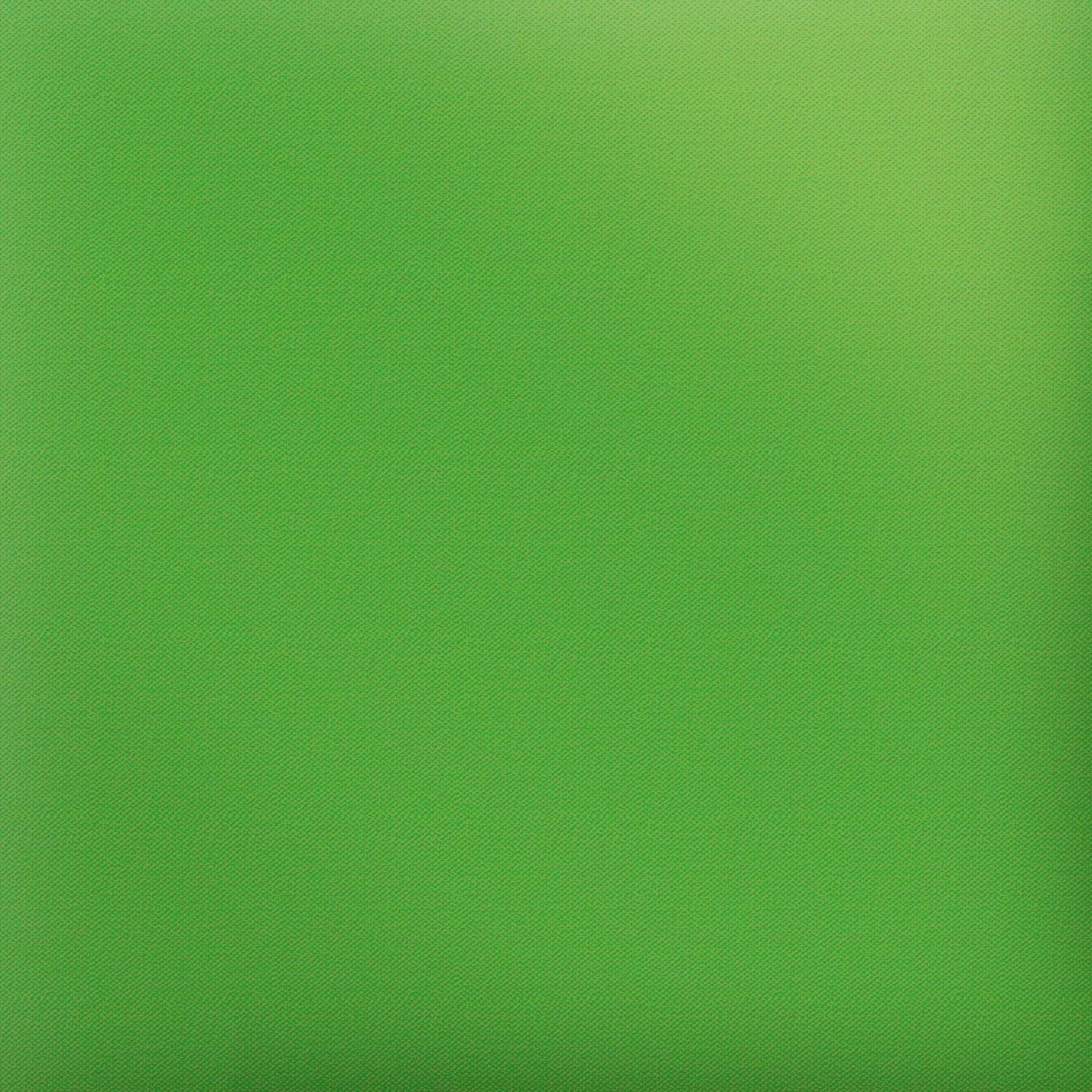 Green Apple HTV Iron On T-shirt Vinyl Green Apple Siser HTV heat