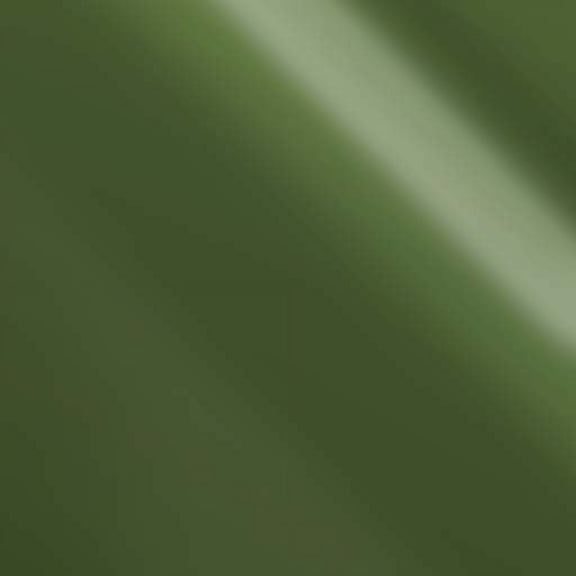 Siser EasyWeed Electric HTV Iron On Heat Transfer Vinyl 12" x 12" 1 Precut Sheet - Olive