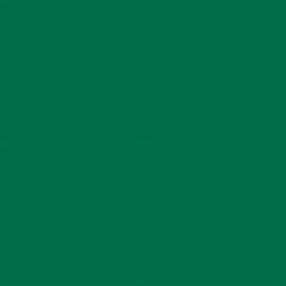 Siser EasyWeed HTV Iron On Heat Transfer Vinyl 15" x 12" 1 Precut Sheet - Matte Green
