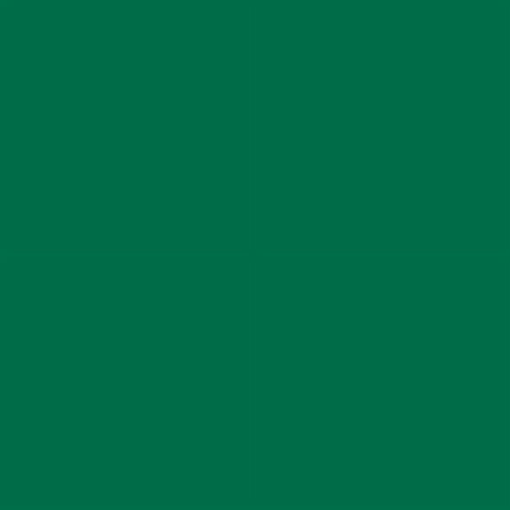 Siser EasyWeed HTV Iron On Heat Transfer Vinyl 15" x 12" 1 Precut Sheet - Matte Green