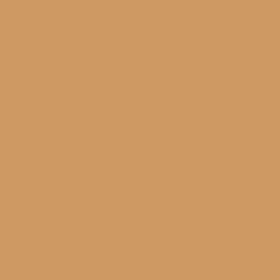 Siser EasyWeed HTV Iron On Heat Transfer Vinyl 15" x 12" 6 Precut Sheets - Tan