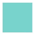 thumbnail image 1 of Siser EasyWeed Stretch Matte HTV 11.8" x 1FT Sheet-Iron On Heat Transfer Vinyl - Sea Glass - HEX #71DBD4, 1 of 1