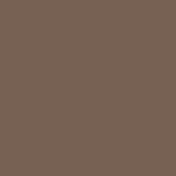 Siser Stretch Easyweed HTV Iron On Heat Transfer Vinyl 15" x 12" 5 PreCut Sheets - Coffee Brown
