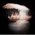 thumbnail image 1 of Sister - CD (Digi-Pak), 1 of 1
