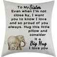 thumbnail image 1 of Sister Throw Pillow Cover Sister Gift from Sister Brother Best Friend Inspirational Pillow Case to My Sister Big Hug to My Sister Graduation Gift for Her, 1 of 3