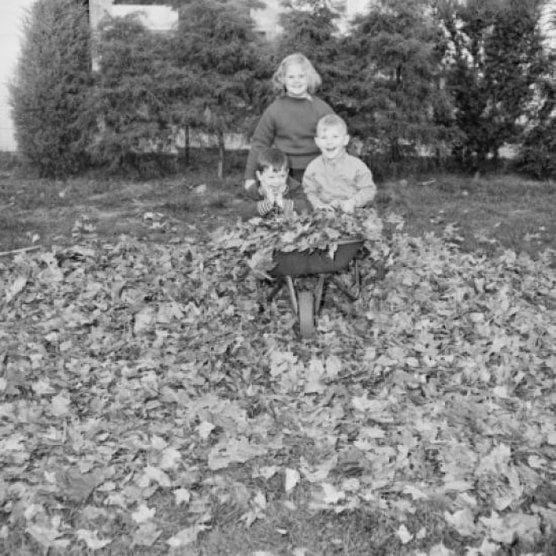 Sister carrying her younger brothers in wheelbarrow and looking at camera Canvas Art - (18 x 24)