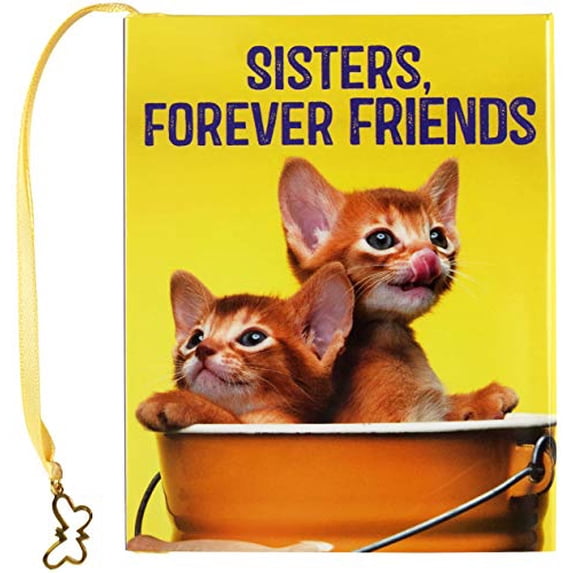 Pre-Owned Sisters, Forever Friends (mini book) Paperback