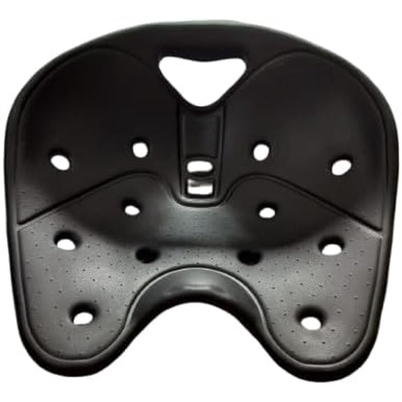 Sit Smart Posture Plus Back Support Cushion, Pain Relief