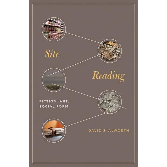 Site Reading: Fiction, Art, Social Form, (Hardcover)