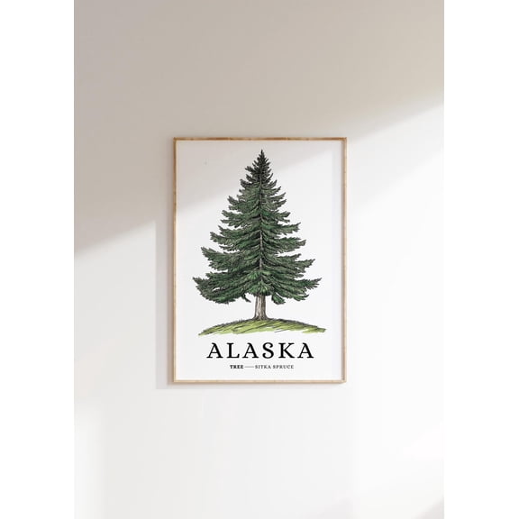 Sitka Spruce Tree Poster: Alaska State Symbol, Botanical Art, Unframed Poster Size 16x24