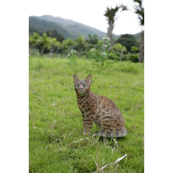 Sitting Bengal Cat