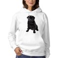 thumbnail image 1 of Sitting Black Pug Hoodie Women -SPIdeals Designs, Female XX-Large, 1 of 4
