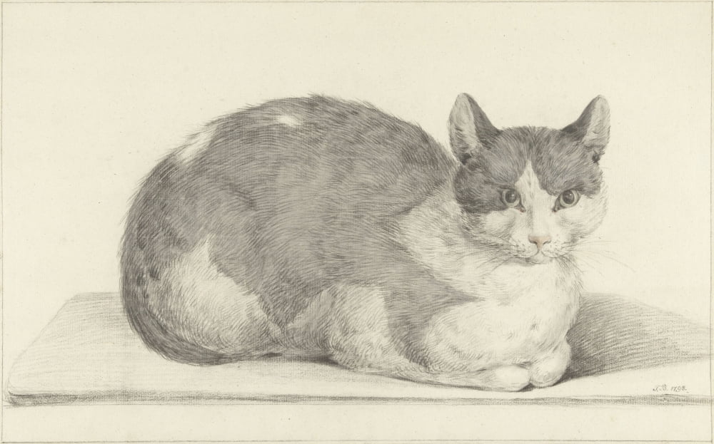 Sitting Cat Canvas Art - (24 x 18)