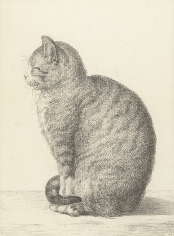 Sitting Cat Canvas Art -  (24 x 36)