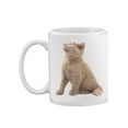 thumbnail image 1 of Sitting Kitten Looking Uo Mug  -Image by Shutterstock,, 1 of 4