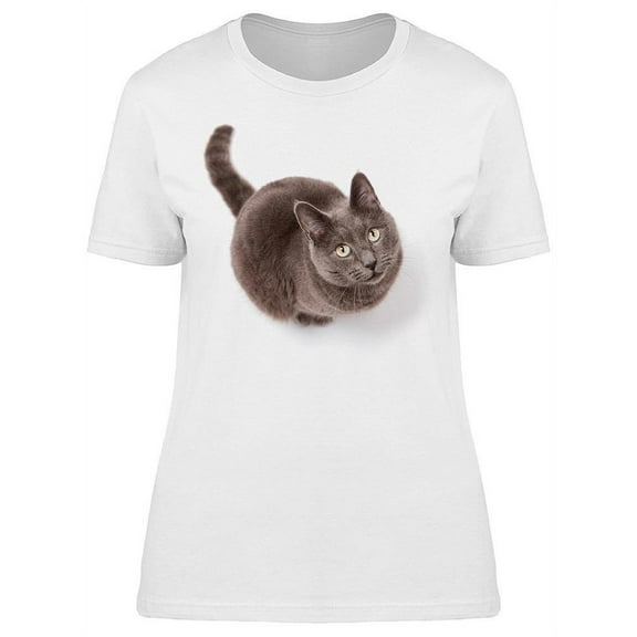 Sitting Looking Gray Cat Beauty T-Shirt Women -Image by Shutterstock, Female XX-Large