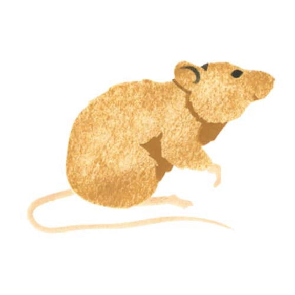 Sitting Mouse Wall Stencil SKU #1397 by Designer Stencils