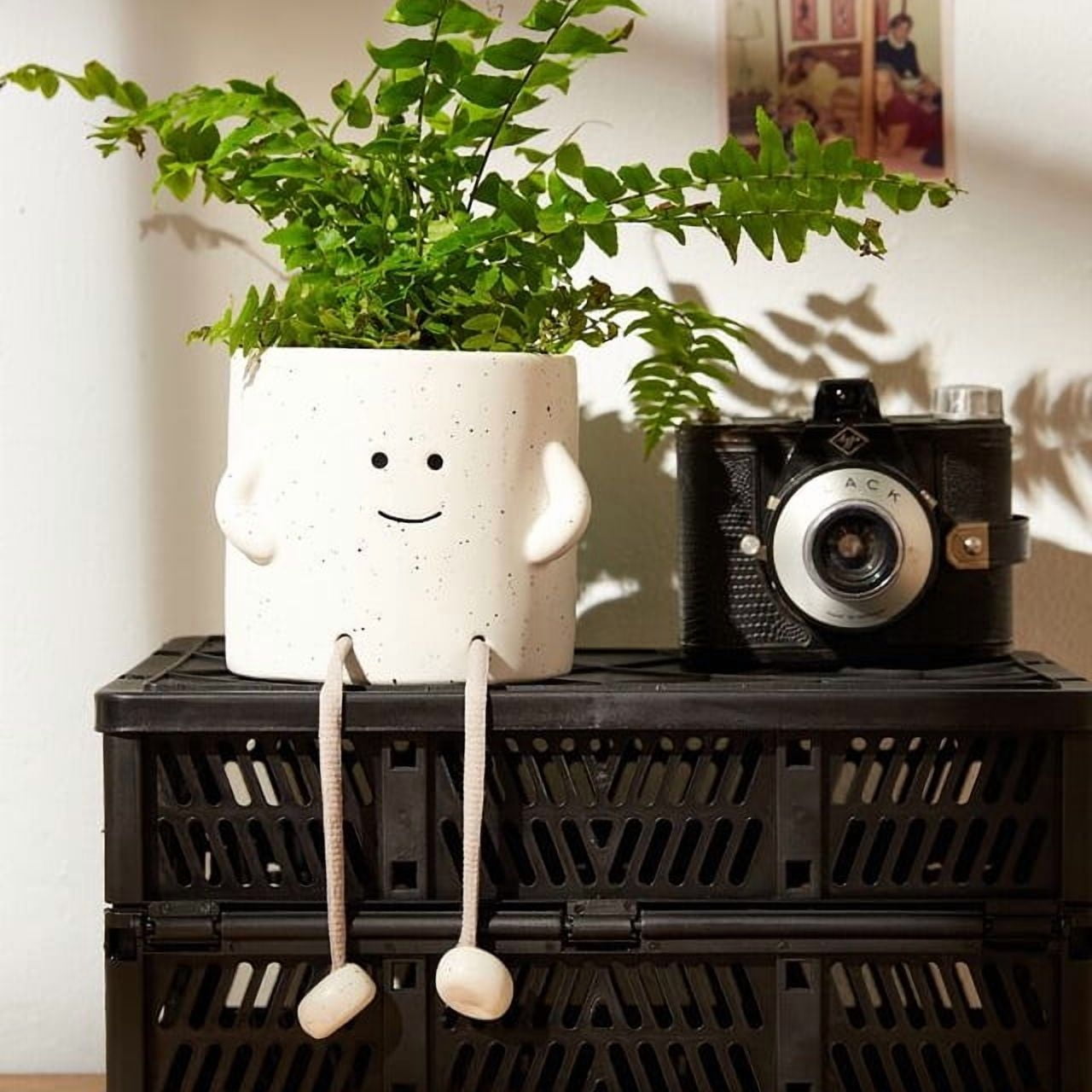 Sitting Planter w/ Rope Legs | Succulent Planter | Indoor Planter Pot | Face Pot Planter for Succulents | Rope Legs Planter | Happy Planter